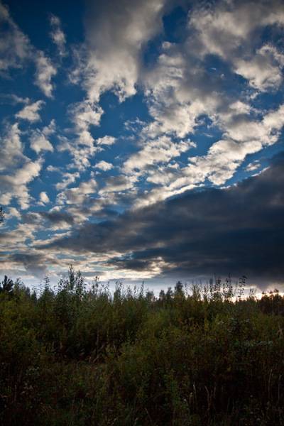 post-4684-0-32714000-1348738318_thumb.jp