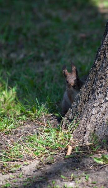 post-4684-0-61041900-1348226681_thumb.jp