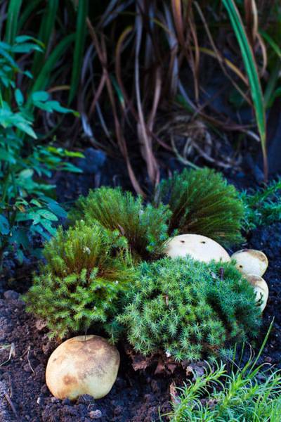 post-4684-0-95288200-1348738034_thumb.jp