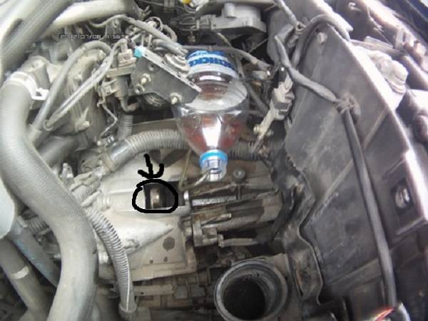 post-20871-0-67211300-1378057034_thumb.j