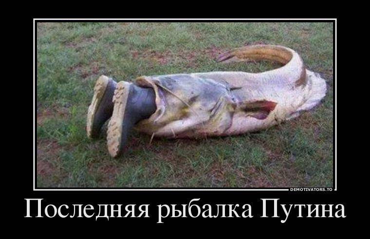 post-6620-0-48186700-1378902178_thumb.jp