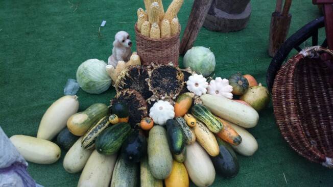 post-23448-0-56512400-1442124940_thumb.j