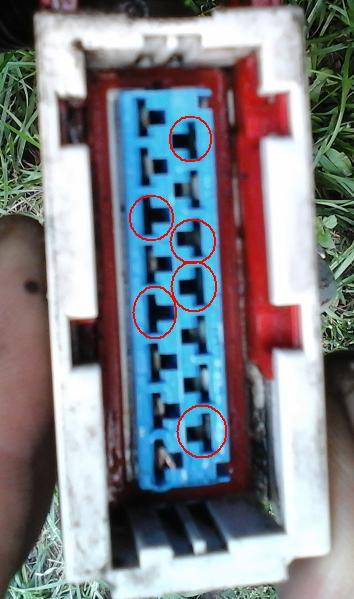 post-35941-0-59685600-1442777260_thumb.j