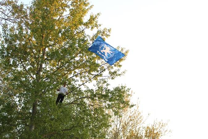 post-12815-0-01862500-1473627766_thumb.j