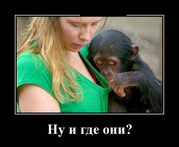 post-17499-0-33366500-1473179515_thumb.j