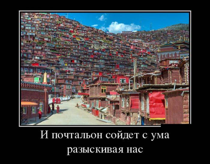 post-17499-0-61409400-1473179502_thumb.j