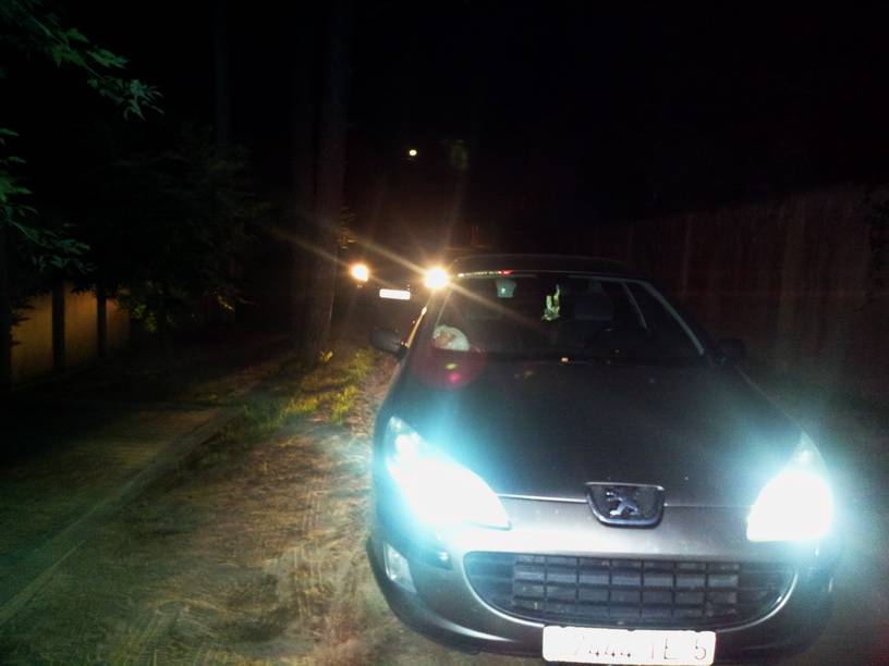 post-23448-0-43185500-1472896189_thumb.j