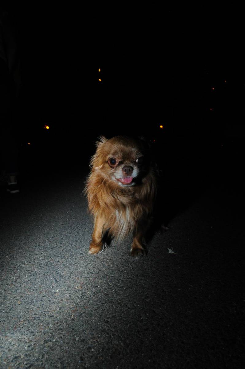 post-40724-0-02356700-1473619869_thumb.j