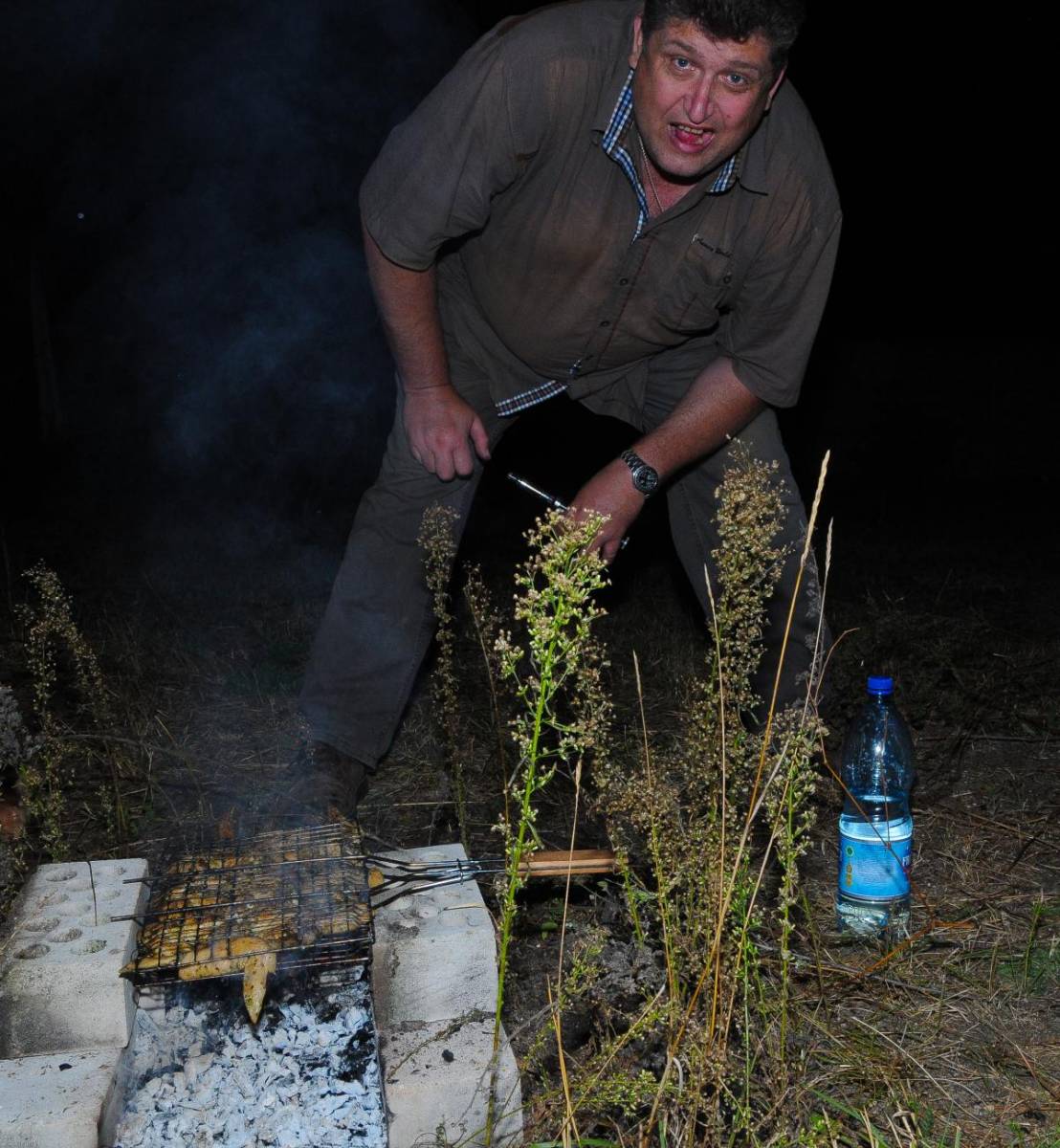 post-40724-0-71906700-1474463368_thumb.j