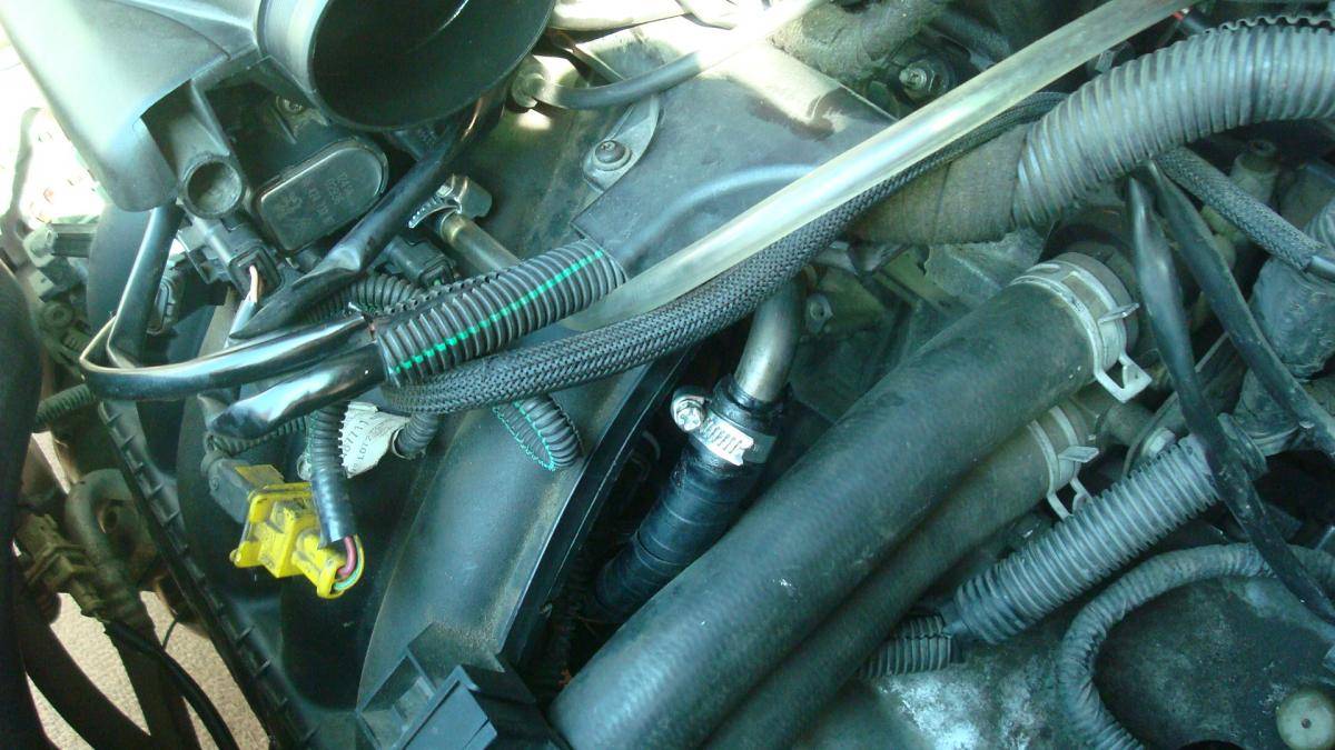 post-47561-0-80111500-1473335286_thumb.j