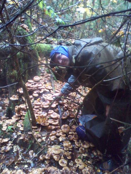 post-5038-0-30017600-1318428482_thumb.jp