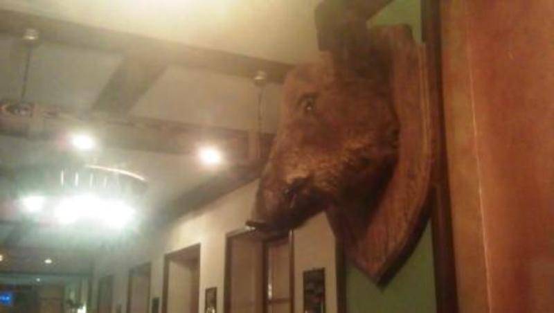 post-6965-0-80432700-1350897617_thumb.jp