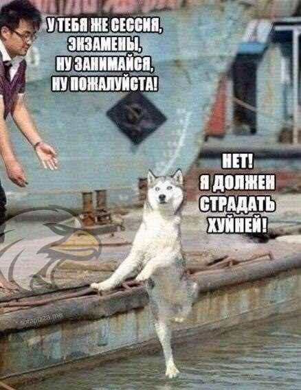 post-19384-0-29797800-1382073719_thumb.j