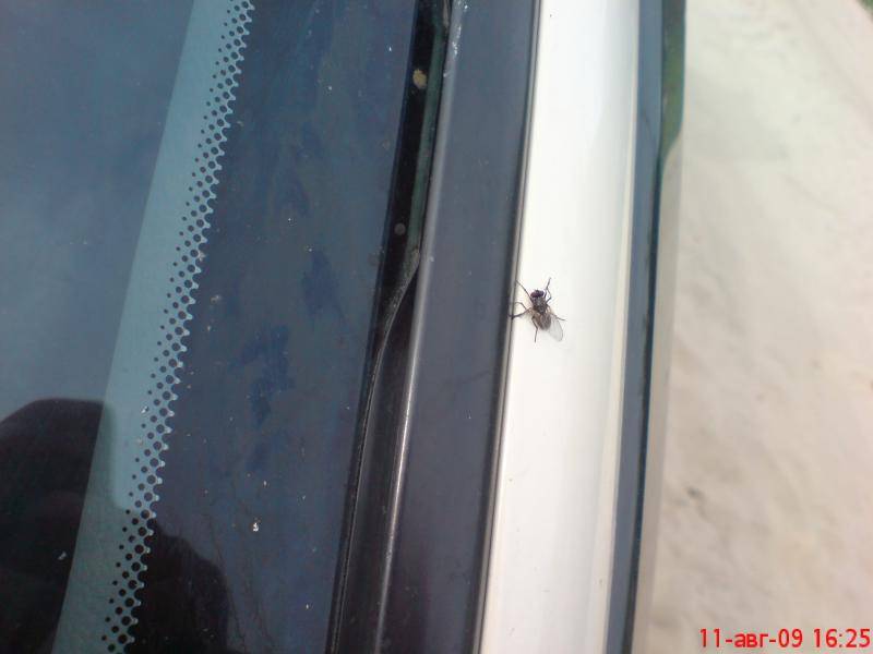 post-26392-0-09233100-1382613062_thumb.j