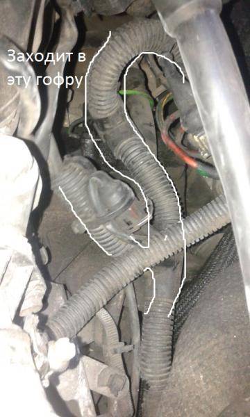 post-31593-0-40155700-1381692111_thumb.j