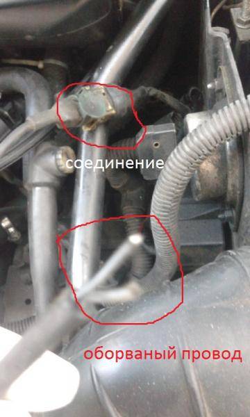 post-31593-0-43926000-1381692095_thumb.j