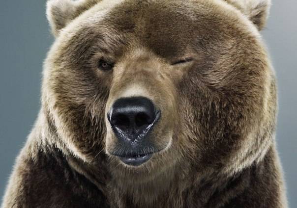 post-11711-0-40264000-1446027142_thumb.j