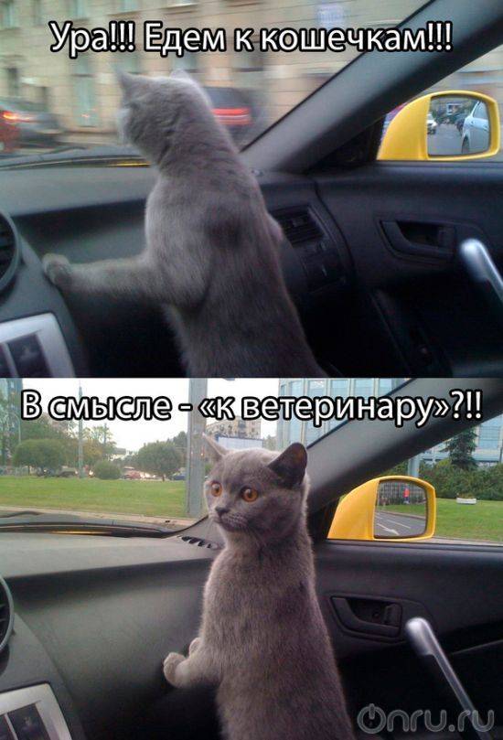 post-17499-0-51076100-1445432503_thumb.j