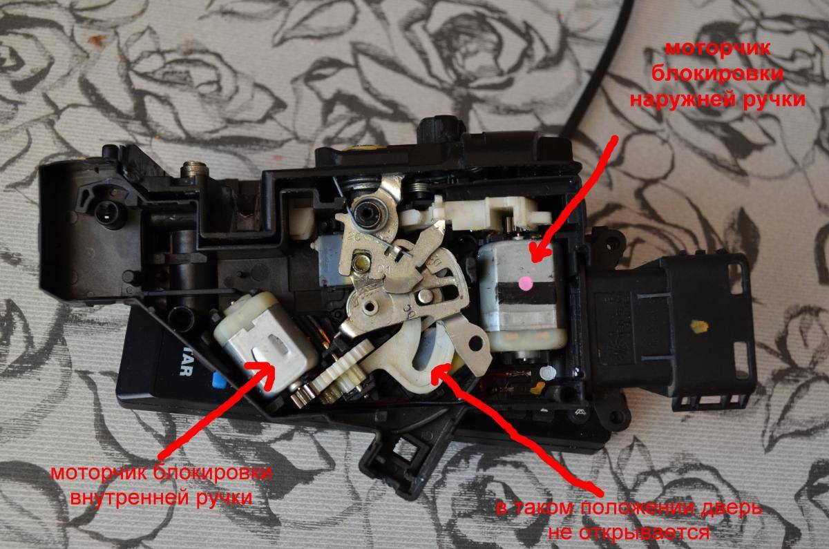 post-11916-0-02929700-1476954198_thumb.j