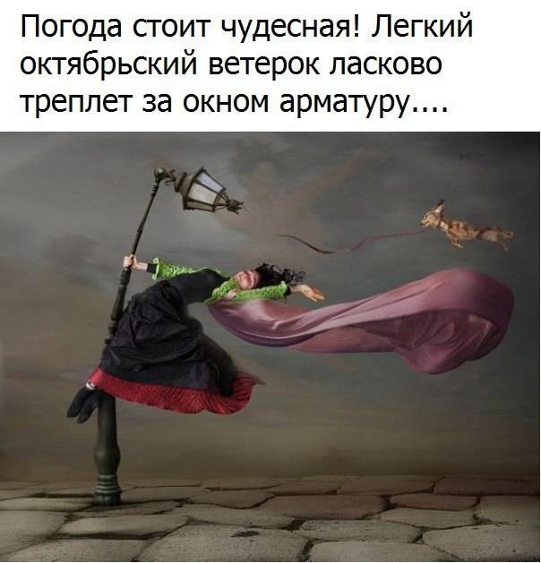 post-12815-0-02796200-1477332832_thumb.j