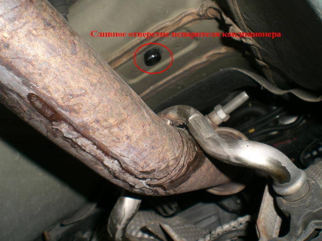 post-12830-0-84999500-1475503091_thumb.j