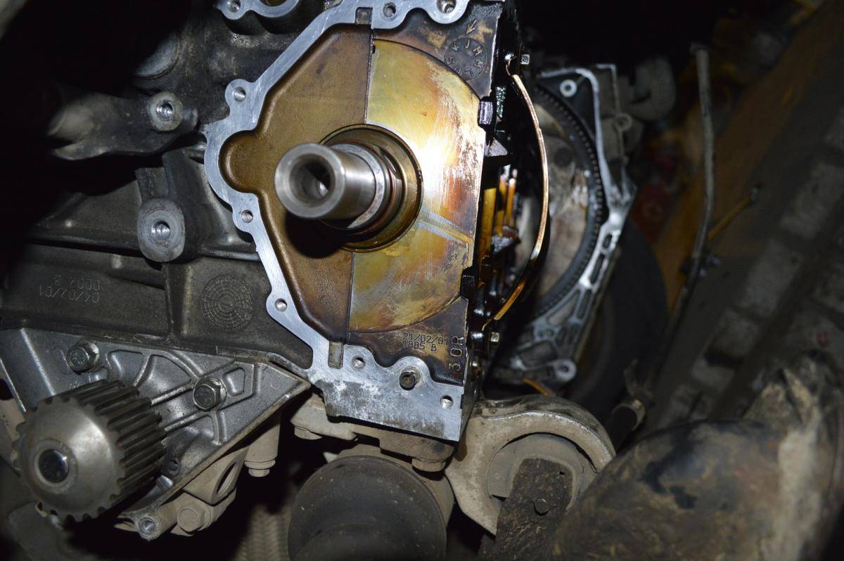 post-40807-0-09407300-1477500534_thumb.j