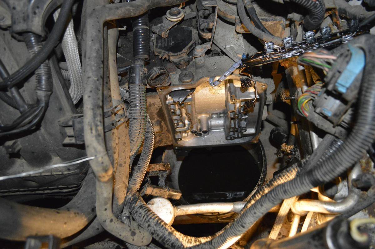 post-40807-0-54686800-1477491640_thumb.j