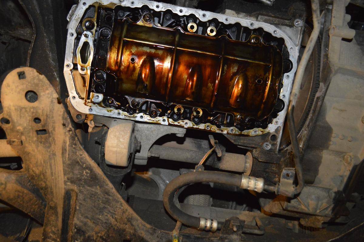 post-40807-0-57230900-1477500461_thumb.j