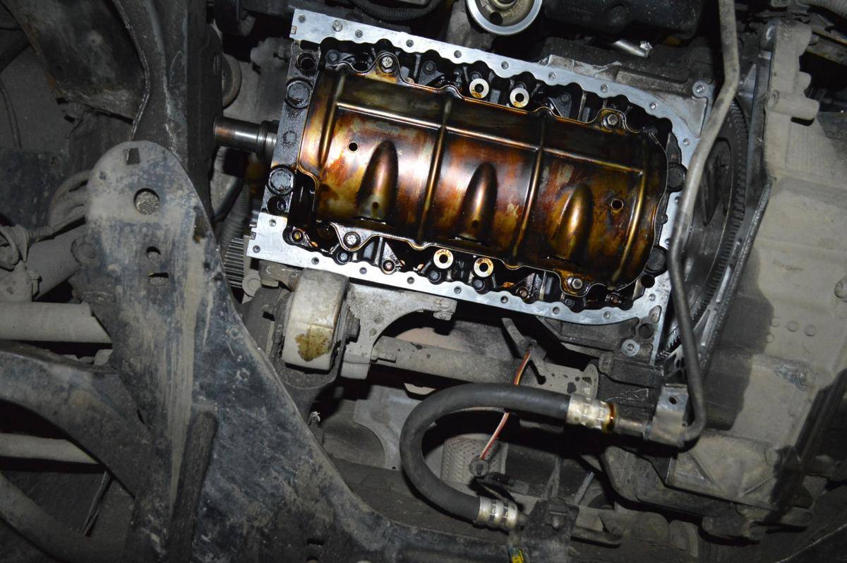 post-40807-0-98454600-1477500552_thumb.j