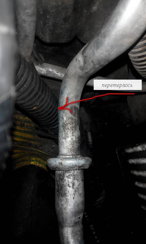 post-5254-0-54309900-1477742325_thumb.jp