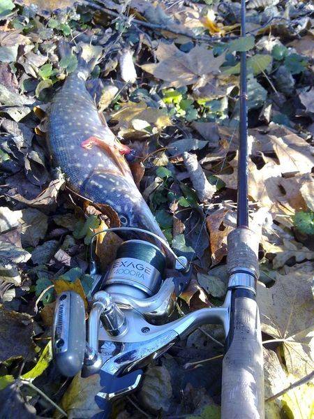 post-1245-0-18983800-1290064631_thumb.jp