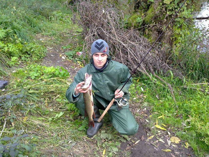 post-1245-0-44405500-1290064645_thumb.jp