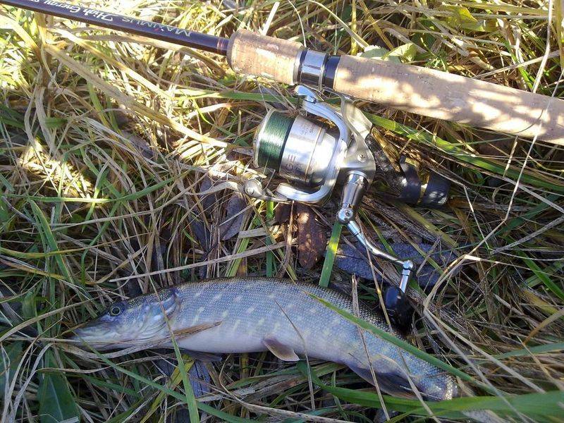 post-1245-0-51672100-1290064656_thumb.jp