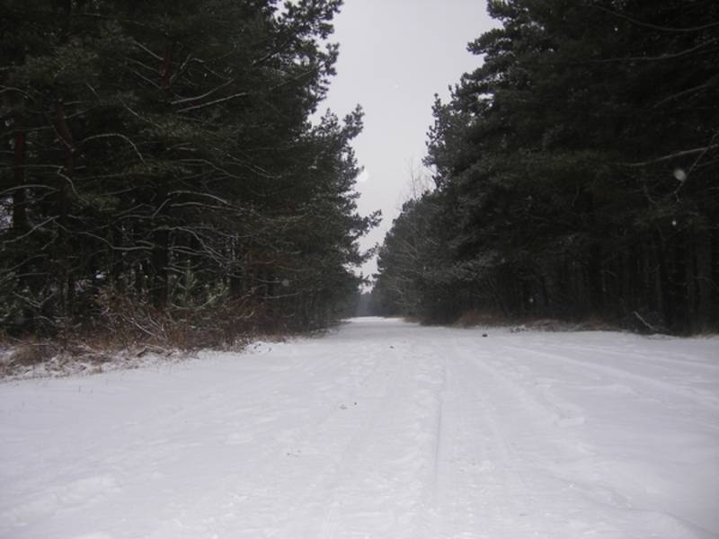 post-5567-0-61880000-1290951988_thumb.jp