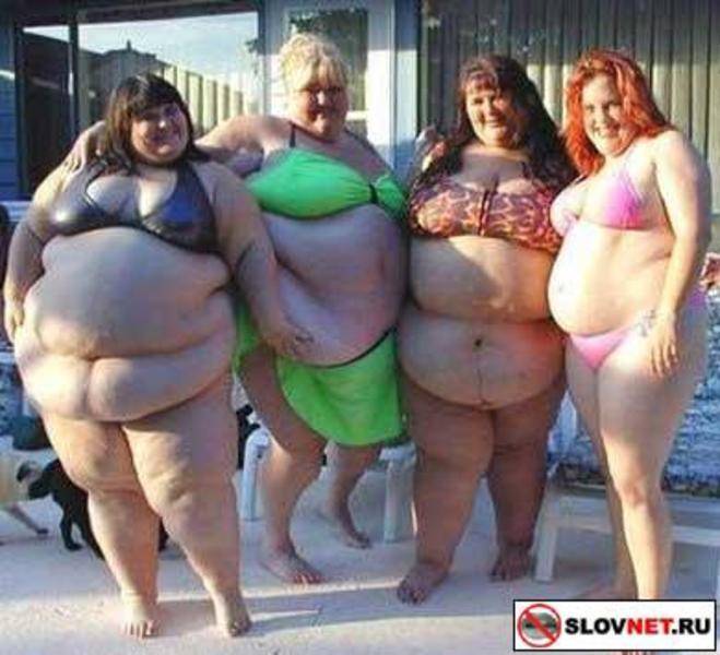 post-8099-0-24370200-1291028135_thumb.jp