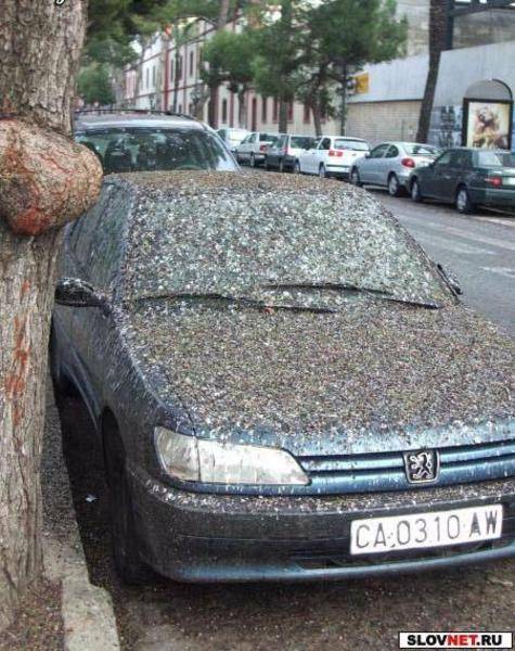 post-8099-0-74222700-1290697105_thumb.jp