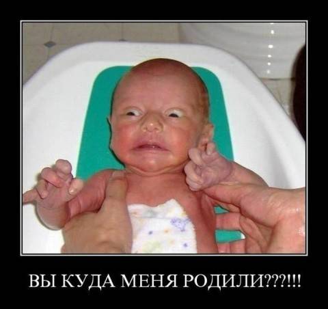 post-2261-0-38335500-1321343921_thumb.jp