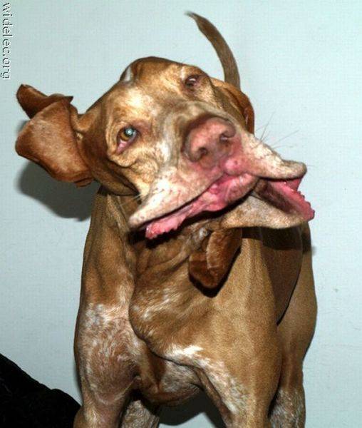 post-7159-0-25813700-1321279249_thumb.jp