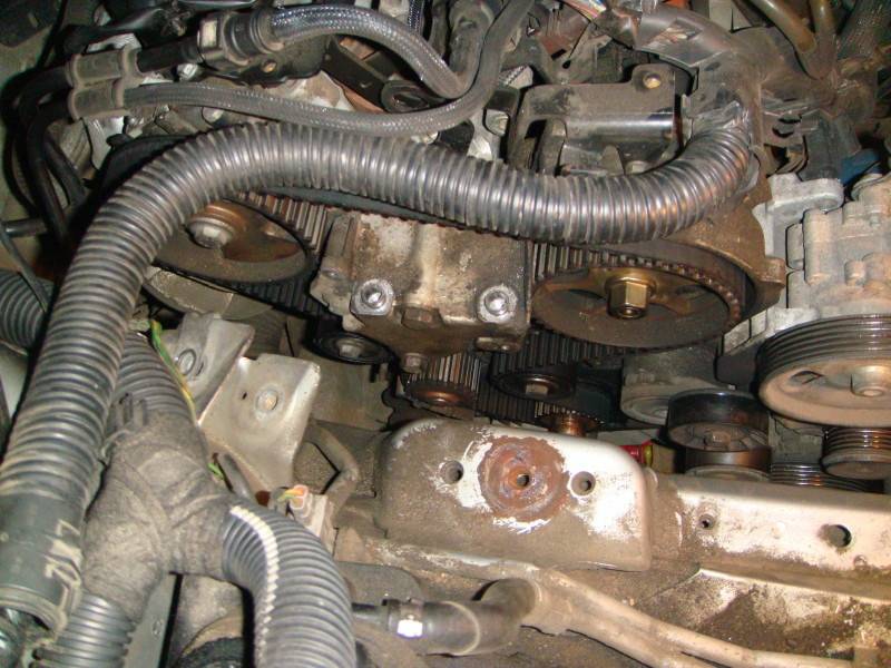 post-7526-0-09274500-1322338151_thumb.jp