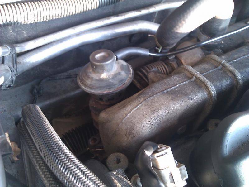 post-15293-0-17637900-1383409067_thumb.j