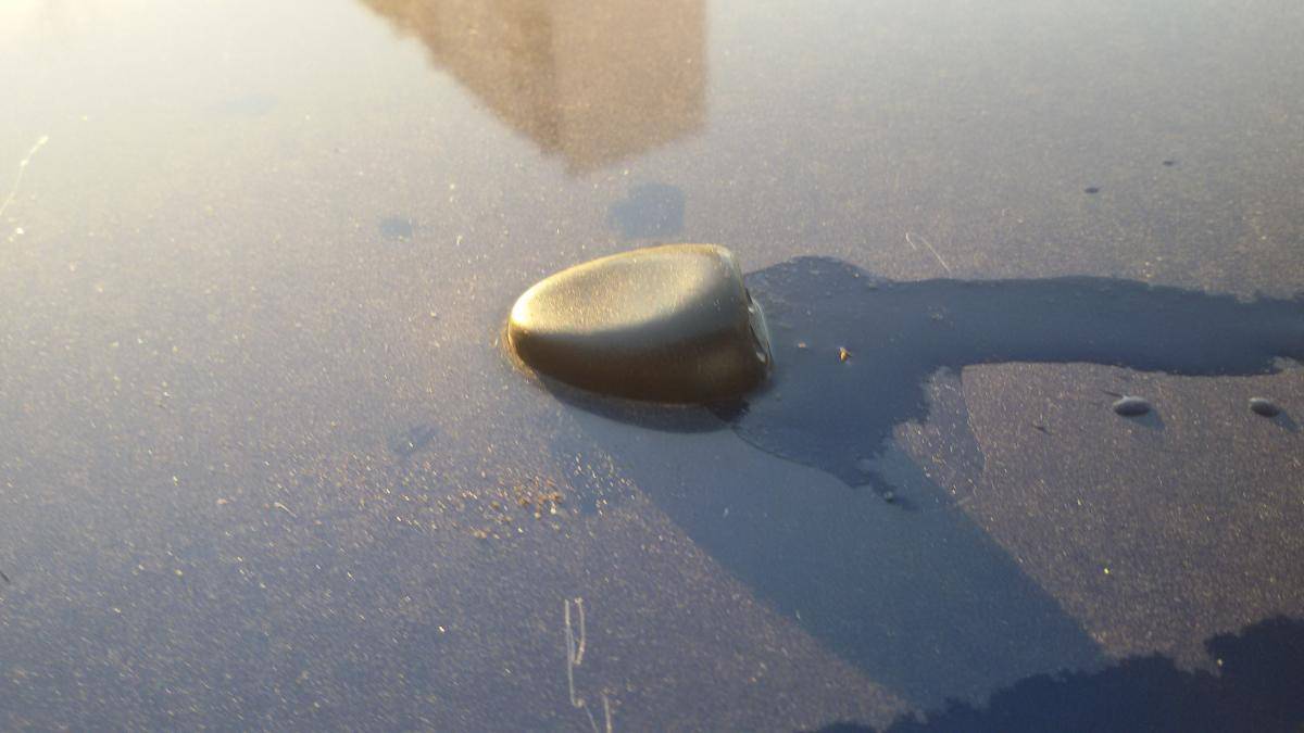 post-38269-0-44669000-1416427171_thumb.j