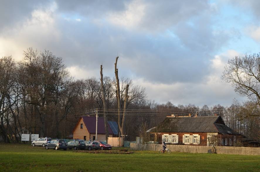 post-12815-0-63826300-1447578766_thumb.j