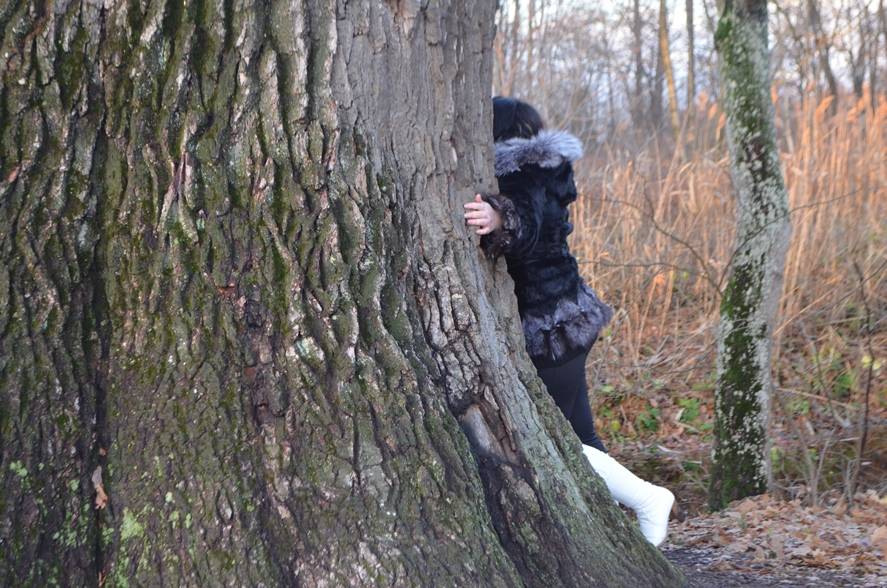 post-12815-0-91443400-1447578797_thumb.j