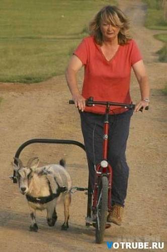 post-17499-0-55681700-1448373961_thumb.j