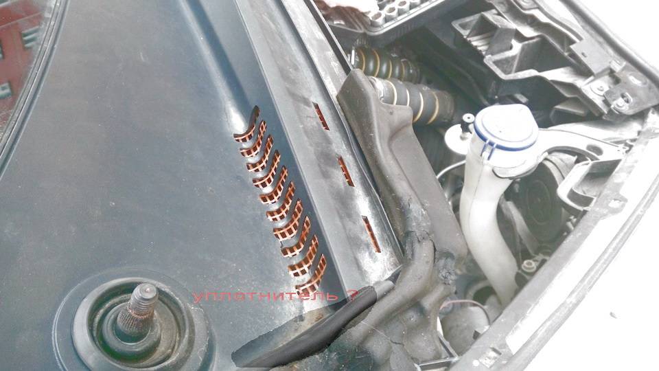 post-45005-0-13171400-1478590644_thumb.j