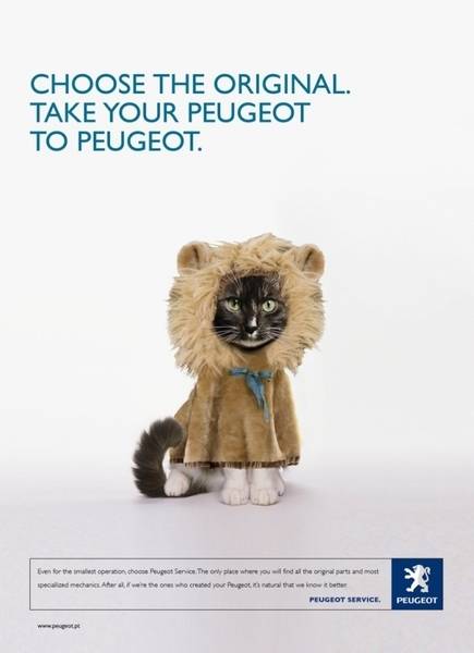 post-1024-0-88596400-1292010467_thumb.jp