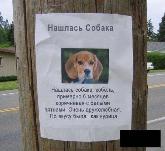 post-8099-0-52660800-1292411586_thumb.jp