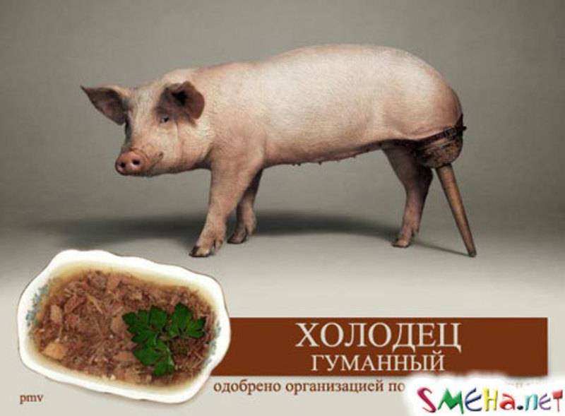 post-8099-0-64464200-1292411215_thumb.jp