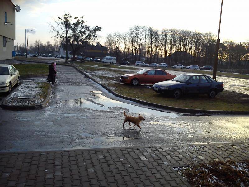 post-26392-0-46777600-1387611338_thumb.j