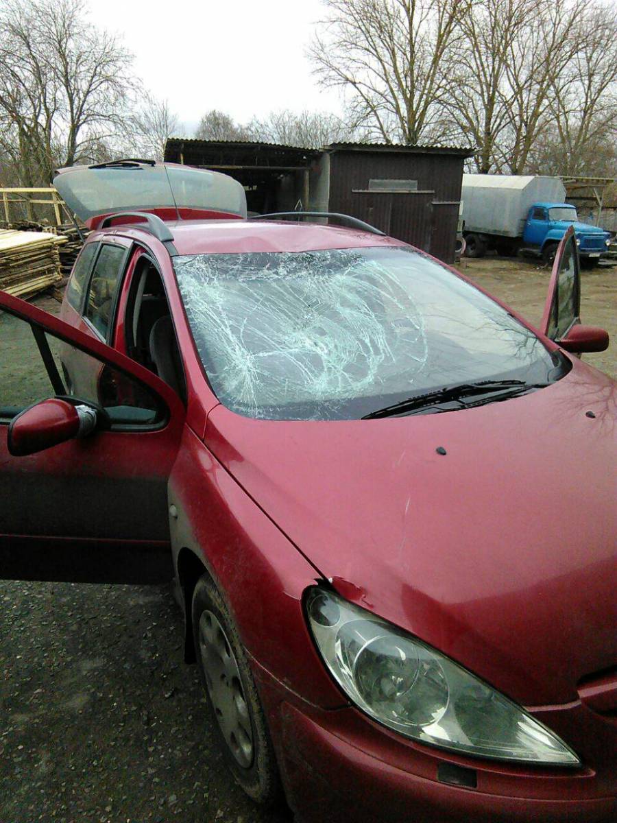 post-12664-0-09760000-1451234774_thumb.j